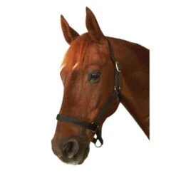 Roma Everyday Headcollar - Black