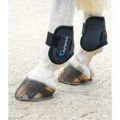 Shires ARMA Fetlock Boots - Black/Green