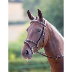 Shires Avignon Portland Bridle - Havana