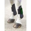Shires ARMA Tendon Boots - Black/Green