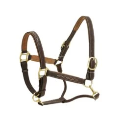 Ovation Richtan Luxury Padded Halter - Brown/Tan