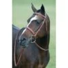 Pessoa Rodrigo Fancy Wide Show Bridle - Dark Brown