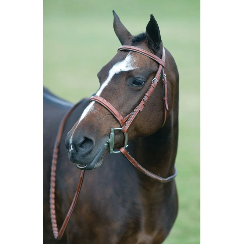 Pessoa Rodrigo Fancy Wide Show Bridle - Dark Brown 1 Pessoa Rodrigo Fancy Wide Show Bridle - Dark Brown