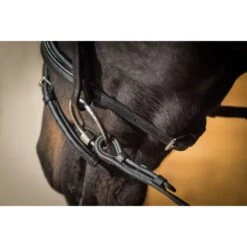 Ovation ATS Traditional Flash Dressage Bridle - Black -Tackof The Day Shop 439970 800 800