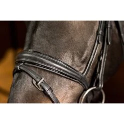 Ovation ATS Traditional Flash Dressage Bridle - Black -Tackof The Day Shop 439971 800 800