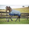 Saxon 600D With Gusset Standard Neck Medium II Turnout - Grey/Navy