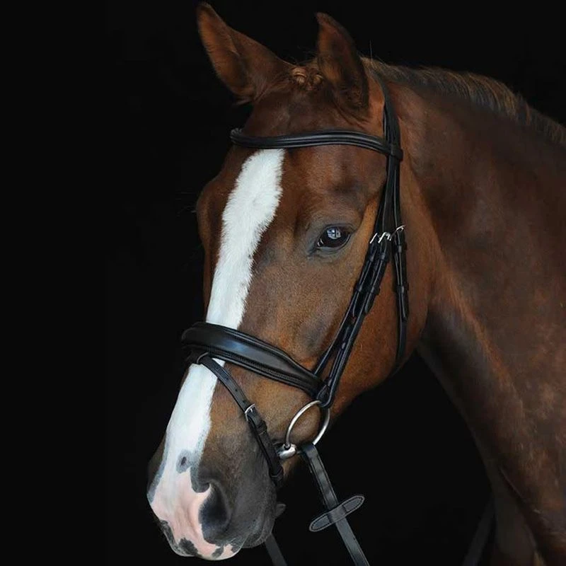 Collegiate Mono Crown Padded Raised Flash Bridle - Black 1 Collegiate Mono Crown Padded Raised Flash Bridle - Black