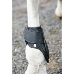 Weatherbeeta Lite Fetlock Boots - Black -Tackof The Day Shop 442527 800 800
