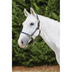 Kincade Leather Rope Headcollar - Navy/Brown