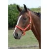 Roma Breakaway Halter II - Red