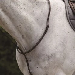 Collegiate Raised Standing Martingale II - Brown