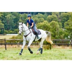 Weatherbeeta Cross Country Boots Hind - Black -Tackof The Day Shop 442793 800 800