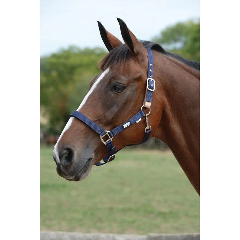 Roma Breakaway Halter II - Navy 1 Roma Breakaway Halter II - Navy