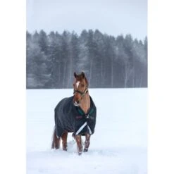 Rambo Wug Turnout 400g - Black/Green/Red