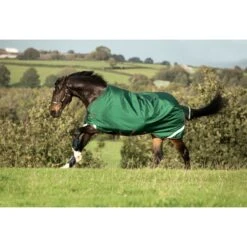 Rambo Original Turnout W/Leg Arches 100g - Green/Red