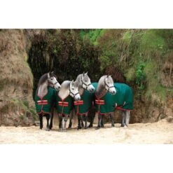 Rambo Original Turnout 400g - Green/Red -Tackof The Day Shop 446649 800 800