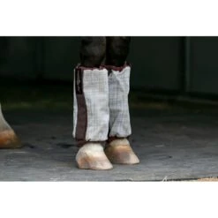 Kensington Bubble Fly Boots (Set Of 4) - Desert Sand