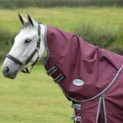 Weatherbeeta Comfitec Plus Dynamic II Neck Rug Lite - Maroon/Grey/White