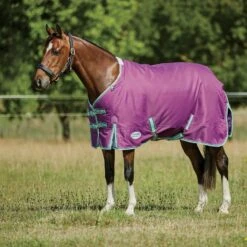Weatherbeeta Comfitec Premier Freedom Pony Standard Neck Medium - Purple/Navy/Mint