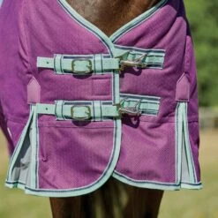 Weatherbeeta Comfitec Premier Freedom Pony Standard Neck Medium - Purple/Navy/Mint -Tackof The Day Shop 448770 800 800