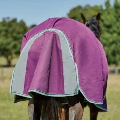 Weatherbeeta Comfitec Premier Freedom Pony Detach-A-Neck Lite - Purple/Navy/Mint -Tackof The Day Shop 449933 800 800
