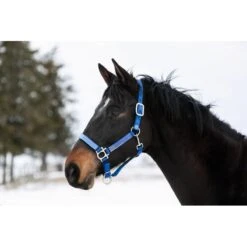 Kensington Premium Nylon Halter - Kentucky Blue
