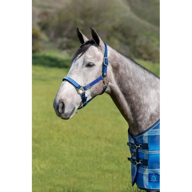Kensington Premium Nylon Halter - Kentucky Blue 2 Kensington Premium Nylon Halter - Kentucky Blue - Image 2
