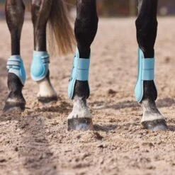 Horze Adepto Tendon Boots - Canal Blue -Tackof The Day Shop 454322 800 800
