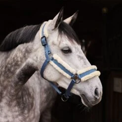 Horze Marquess Halter - Aegean Blue