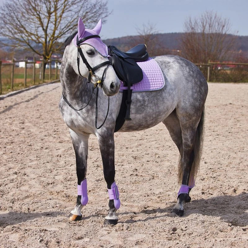 Horze Adepto Fetlock Boots - Languid Lavender Purple 3 Horze Adepto Fetlock Boots - Languid Lavender Purple - Image 3