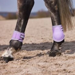 Horze Adepto Fetlock Boots - Languid Lavender Purple 7 Horze Adepto Fetlock Boots - Languid Lavender Purple -Tackof The Day Shop 454417 800 800