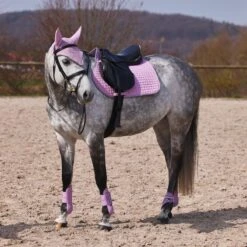 Horze Adepto Fetlock Boots - Dawn Pink -Tackof The Day Shop 454533 800 800