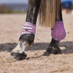Horze Adepto Fetlock Boots - Dawn Pink -Tackof The Day Shop 454534 800 800