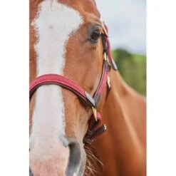 Kincade Braided Leather Breakaway Headcollar - Maroon -Tackof The Day Shop 458811 800 800