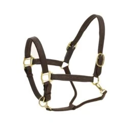 Ovation Richtan Luxury Padded Halter - Brown/Brown