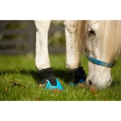 Tubbease Hoof Sock - MultiColor -Tackof The Day Shop 469914 800 800