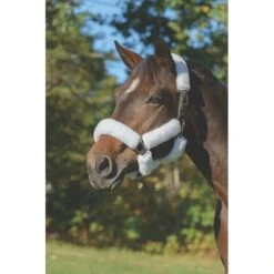 Shires ARMA Supafleece Halter Set - White