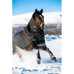 Rambo Supreme Turnout 420g - Black/Orange/Black -Tackof The Day Shop 473541 800 800