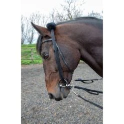 Shires Lunging Adapter - Black
