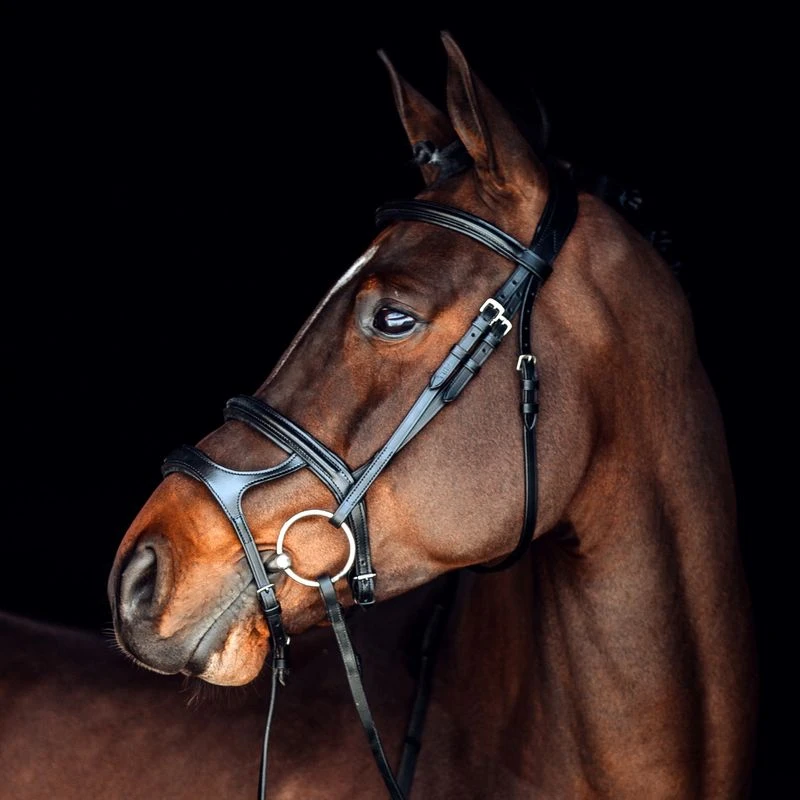 Horze Perth Soft Lined Anatomical Bridle - Black 1 Horze Perth Soft Lined Anatomical Bridle - Black