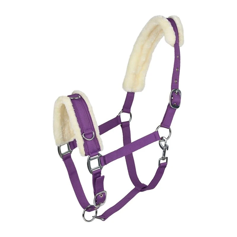 Horze Lunging Cavesson - Purple 1 Horze Lunging Cavesson - Purple