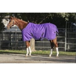Kensington Signature Medium Weight Turnout - Purple