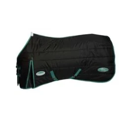 Weatherbeeta Green-Tec Stable Standard Neck Medium/Lite - Black/Bottle Green -Tackof The Day Shop 482467 800 800