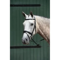 Collegiate Essential Padded Raised Flash Bridle - Black