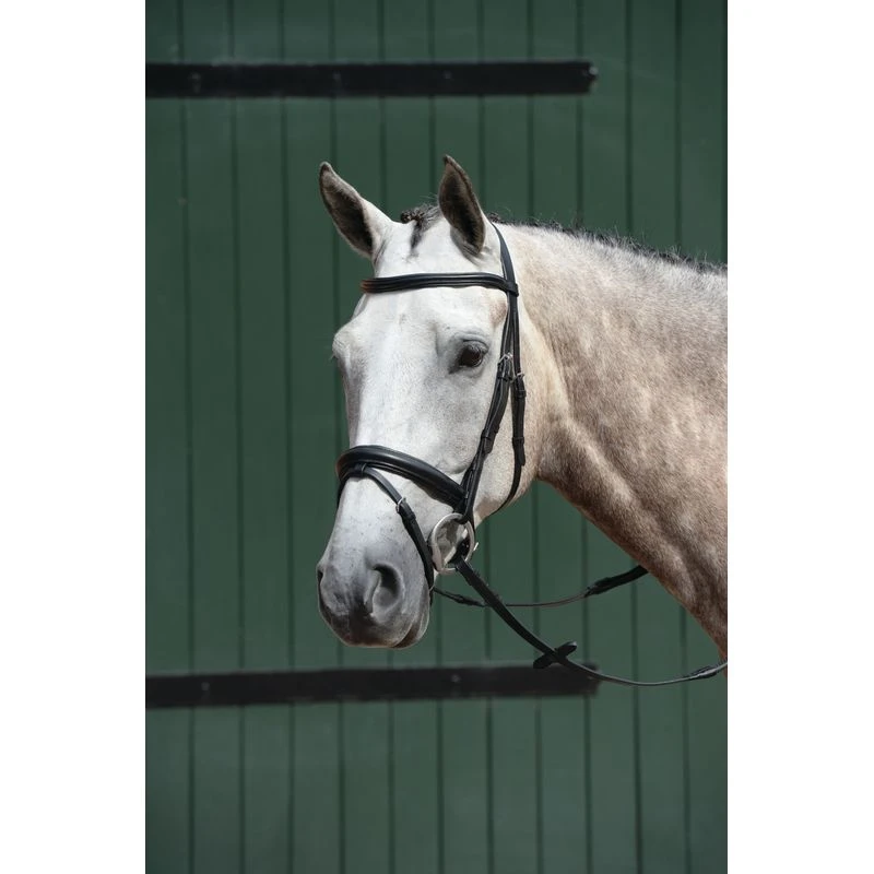 Collegiate Essential Padded Raised Flash Bridle - Black 1 Collegiate Essential Padded Raised Flash Bridle - Black