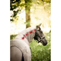 Rambo Protector W/Disc Front - Oatmeal/Cherry/Peach/Blue -Tackof The Day Shop 488392 800 800