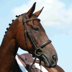 Collegiate Syntovia+ Padded Raised Cavesson Bridle - Brown