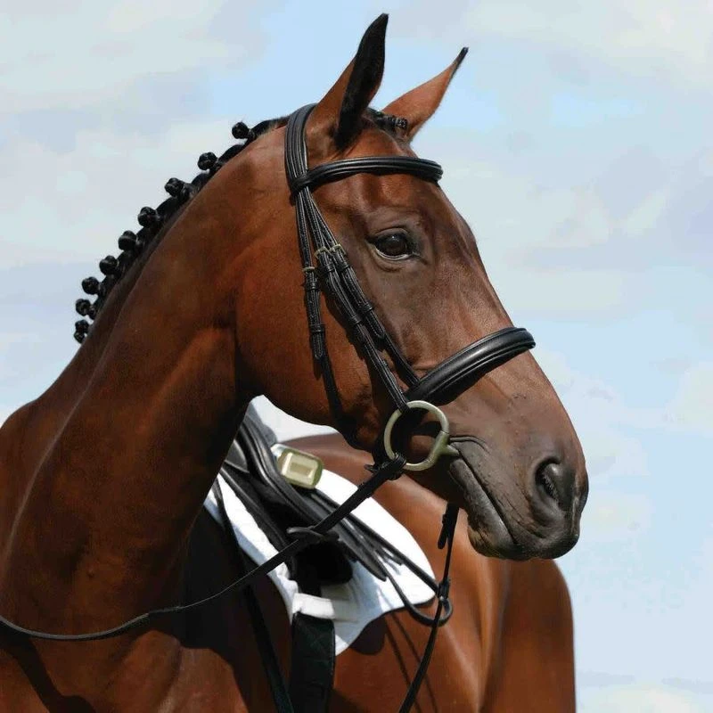 Collegiate Syntovia+ Padded Raised Cavesson Bridle - Black 1 Collegiate Syntovia+ Padded Raised Cavesson Bridle - Black