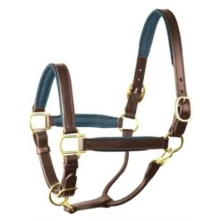 Perri's 1" Padded Leather Halter - Havana/Navy