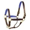 Perri's 1" Padded Leather Halter - Havana/Blue